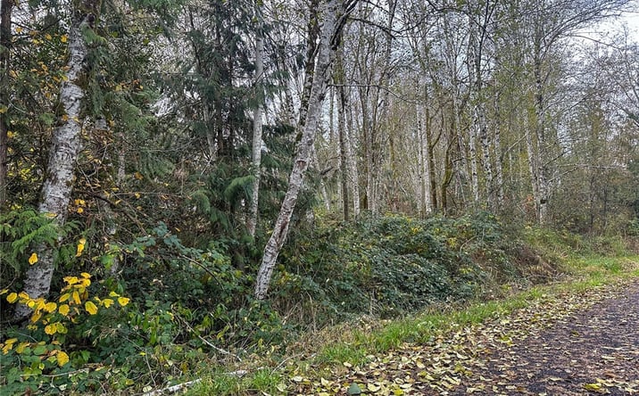Pictures of Land property located at 7609 Lakeside St SW, Olympia, WA 98512 for sales - image #1