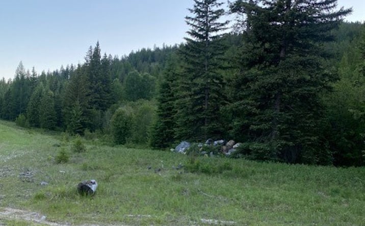 Pictures of Land property located at 108 Conley Court Lot 17 - 89.44 acres, KILA, MT 59920 for sales - image #1