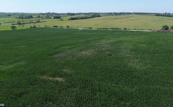 Pictures of Land, Special Purpose property located at 122 Acres Highway 21, Delta, IA 52550 for sales - image #1
