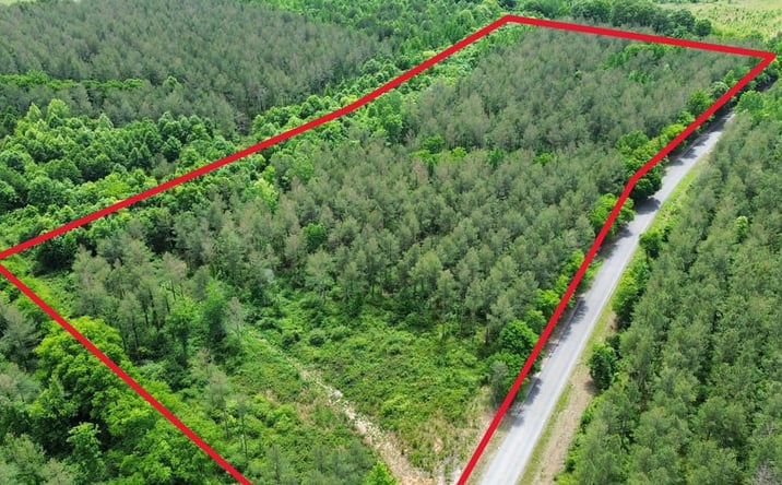 Pictures of Land property located at 000 Co Rd 131, Town Creek, AL 35672 for sales - image #1