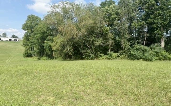 Pictures of Land, Multifamily property located at Lot 20 Caroline Circle, Wytheville, VA 24382 for sales - image #1