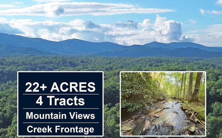 Pictures of Land property located at 1720 Mt. Springer Road, Ellijay, GA 30540 for sales - image #1