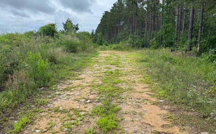 Pictures of Land property located at Barkada Road area, Warren, AR 71671 for sales - image #1