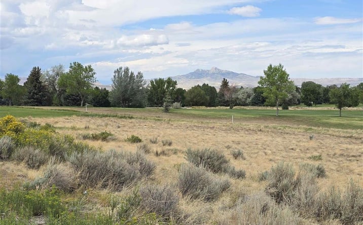 Pictures of Land property located at 719 & 725 Olive Glenn Dr, Cody, WY 82414 for sales - image #1