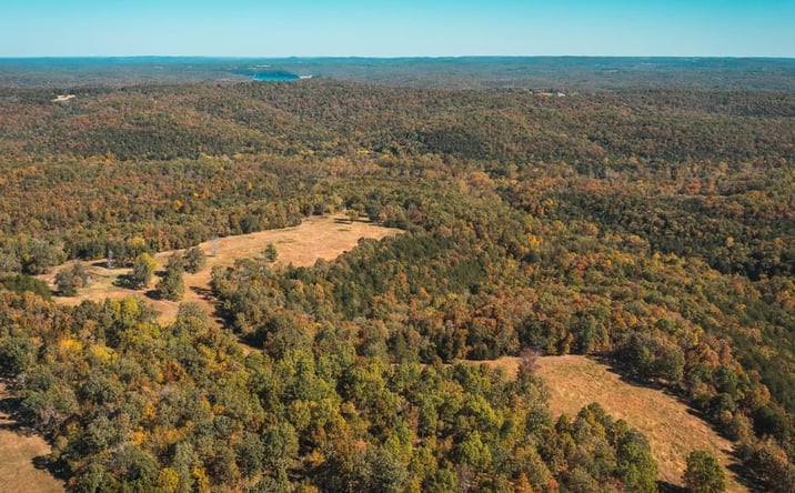 Pictures of Land property located at Gunnison Road, Kirbyville, MO 65679 for sales - image #1