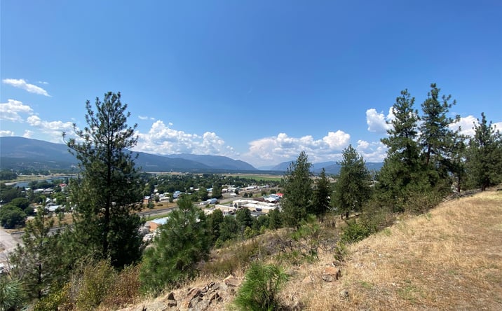 Pictures of Land property located at Lot 2 Railroad Avenue, PLAINS, MT 59859 for sales - image #1