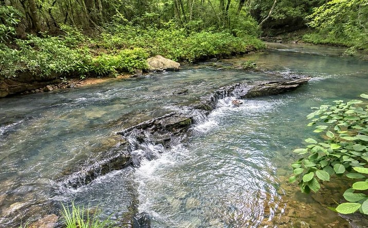 Pictures of Land property located at 10AC Lovejoy Lane, Talking Rock, GA 30175 for sales - image #1