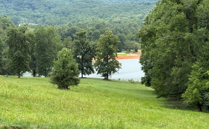 Pictures of Land property located at LOT 3 Viewpoint Lane, Blairsville, GA 30512 for sales - image #1