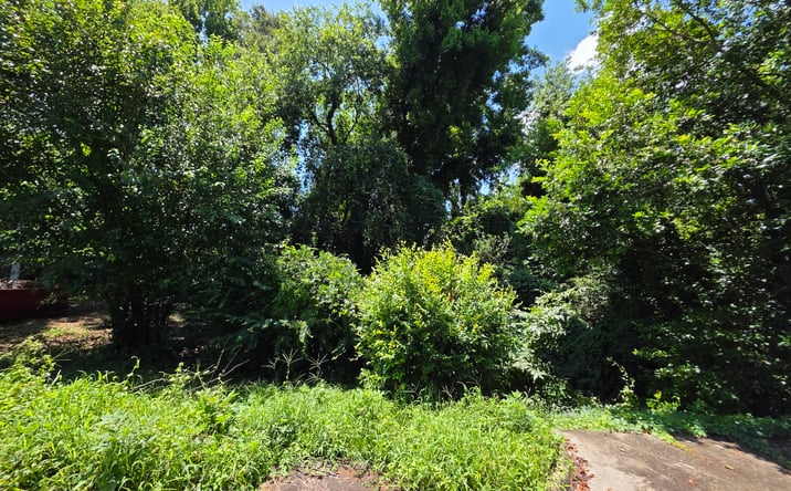Pictures of Land property located at 736 Peachtree Street, Macon, GA 31217, 371 Balkcom Avenue, Macon, GA 31217, 763 Peachtree Street, Macon, GA 31217, 777 Peachtree Street, Macon, GA 31217, 806 Peachtree Street, Macon, GA 31217, 837 Peachtree Street, Macon, GA 31217, 842 Peachtree Street, Macon, GA 31217, 654 Applewood Street, Macon, GA 31217, 836 Applewood Street, Macon, GA 31217, 877 Applewood Street, Macon, GA 31217, 891 Applewood Street, Macon, GA 31217, 654 Myrtle Street, Macon, GA 31217 for sales - image #1