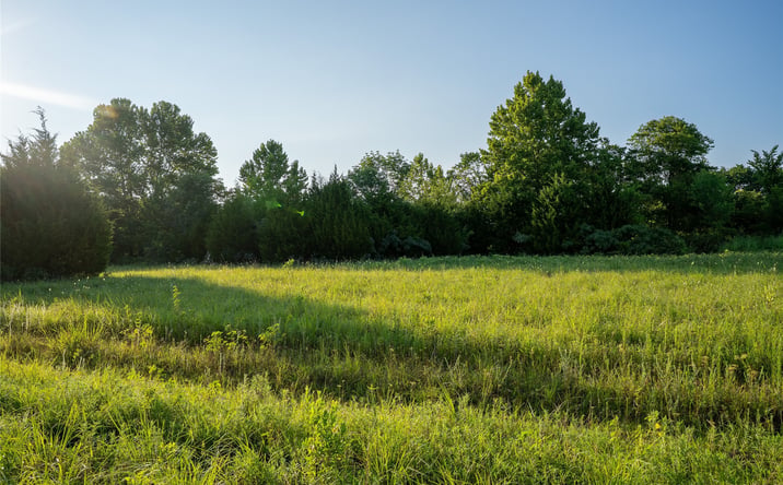 Pictures of Land property located at 1 E 5800 Road, Terlton, OK 74081 for sales - image #1