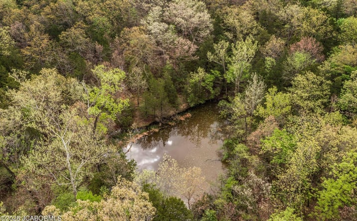 Pictures of Land property located at TBD, Lohman, MO 65053 for sales - image #1