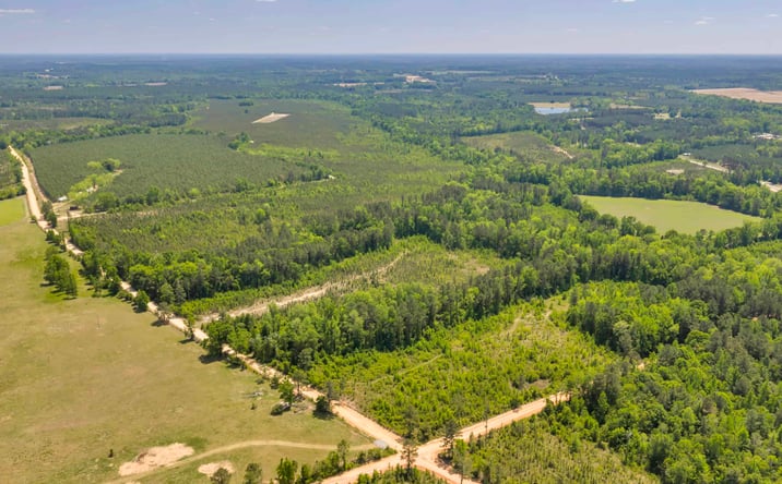 Pictures of Land property located at Graham Ln, Rockledge, GA 30454 for sales - image #1