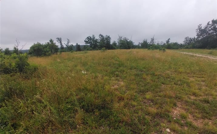 Pictures of Land property located at 3 Tract 3 Off Highway O, Belleview, MO 63623 for sales - image #1