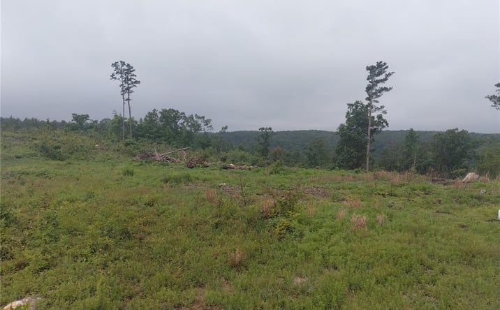 Pictures of Land property located at 11 Tract 11 Off Hwy O, Belleview, MO 63623 for sales - image #1