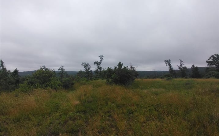 Pictures of Land property located at 10 Tract 10 Off Hwy O, Belleview, MO 63623 for sales - image #1