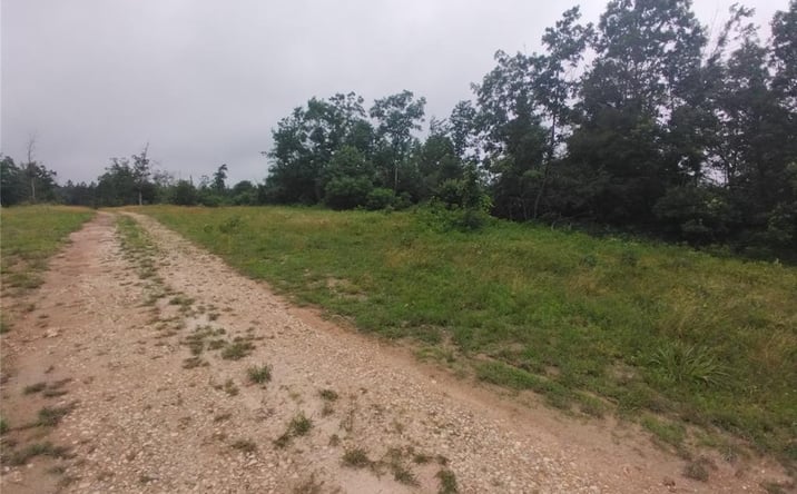 Pictures of Land property located at 9 Tract 9 Off Highway O, Belleview, MO 63623 for sales - image #1