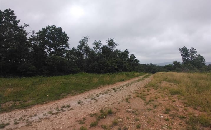 Pictures of Land property located at 8 Tract 8 Off Hwy O, Belleview, MO 63623 for sales - image #1