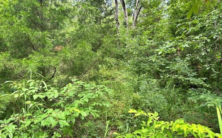 Pictures of Land property located at 595 Utica Drive, Bismarck, MO 63624 for sales - image #1