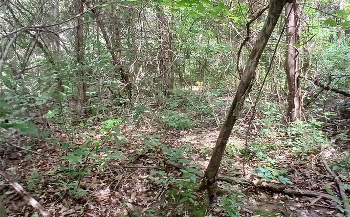Pictures of Land property located at 3536 3535 Washington Dr, Bismarck, MO 63624 for sales - image #1
