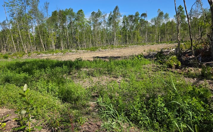 Pictures of Land property located at Williams Road, Amity, ME 04471 for sales - image #1