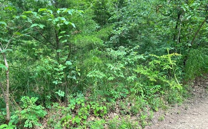 Pictures of Land property located at 526 Tarkio Dr, Bismarck, MO 63624 for sales - image #1