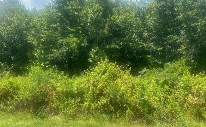 Pictures of Land property located at 1475 Old US-1, Wadley, GA 30477 for sales - image #1