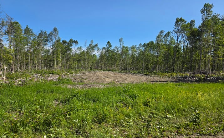 Pictures of Land property located at 26 Williams Road, Amity, ME 04471 for sales - image #1