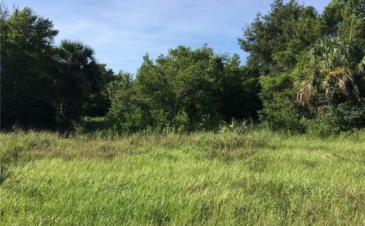 Pictures of Land property located at Lakeshore Breeze Ct, Eustis, FL 32726 for sales - image #1