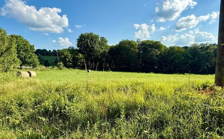 Pictures of Land property located at Tbd Horseshoe Bend Road Lot 5, Jonesborough, TN 37659 for sales - image #1