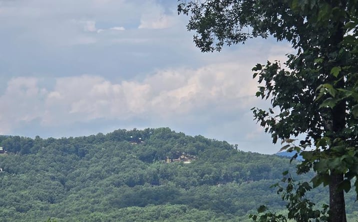 Pictures of Land property located at Lot 7 Scouts Overlook, Morganton, GA 30560 for sales - image #1