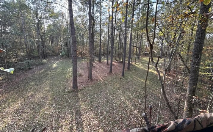 Pictures of Land property located at 21 Pheasant Road, 70721, MS 39661 for sales - image #1