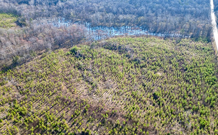 Pictures of Land property located at Holly Farms Road, Burkeville, VA 23922 for sales - image #1