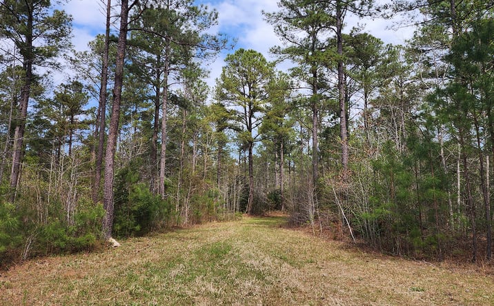 Pictures of Land property located at Gray Road (CR631), Yale, VA 23897 for sales - image #1