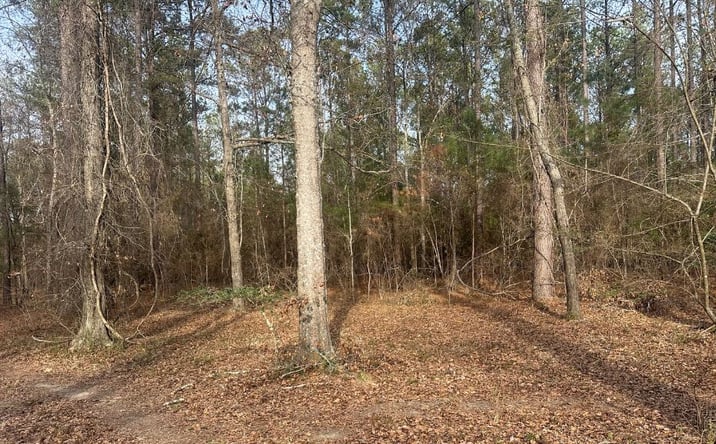 Pictures of Land property located at 0 Country Club Road, Sylvania, GA 30467 for sales - image #1