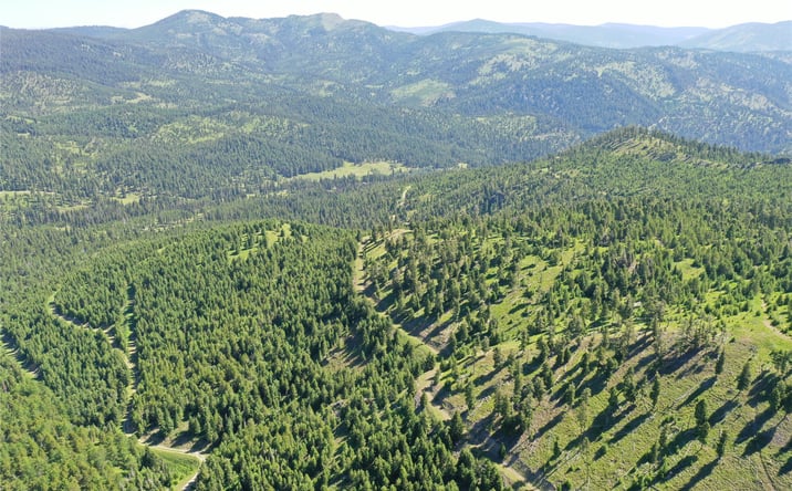 Pictures of Land property located at 13 Tract, DRUMMOND, MT 59832 for sales - image #1