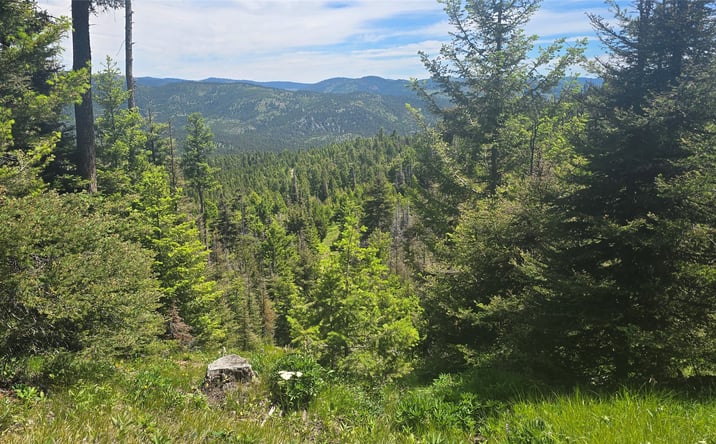 Pictures of Land property located at 9 Tract, DRUMMOND, MT 59832 for sales - image #1