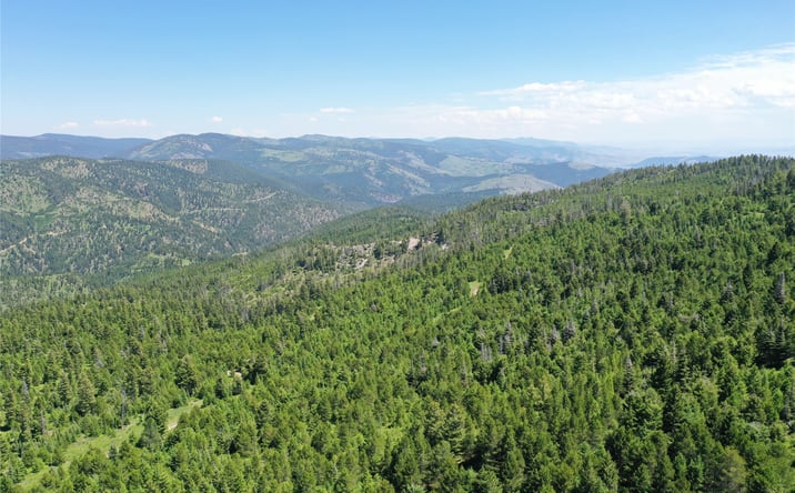 Pictures of Land property located at 7 Tract, DRUMMOND, MT 59832 for sales - image #1