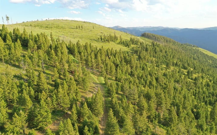 Pictures of Land property located at 1 Tract Garnet Range, DRUMMOND, MT 59832 for sales - image #1