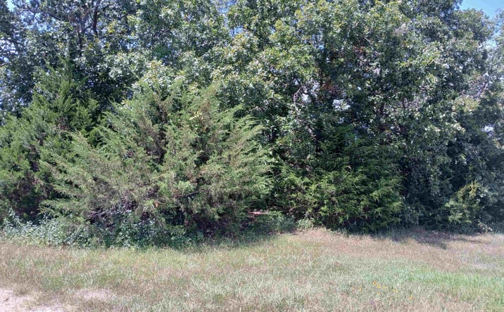 Pictures of Land property located at 1095 NW YY, Osceola, MO 64776 for sales - image #1