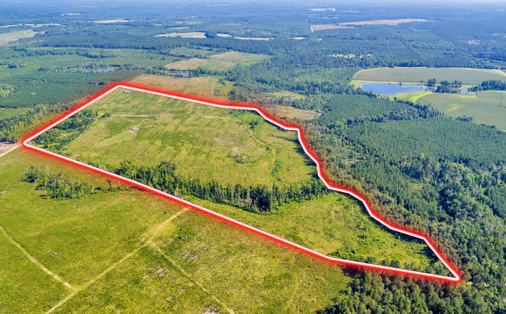 Pictures of Land property located at Bishop Chapel Church Road, Swainsboro, GA 30401 for sales - image #1