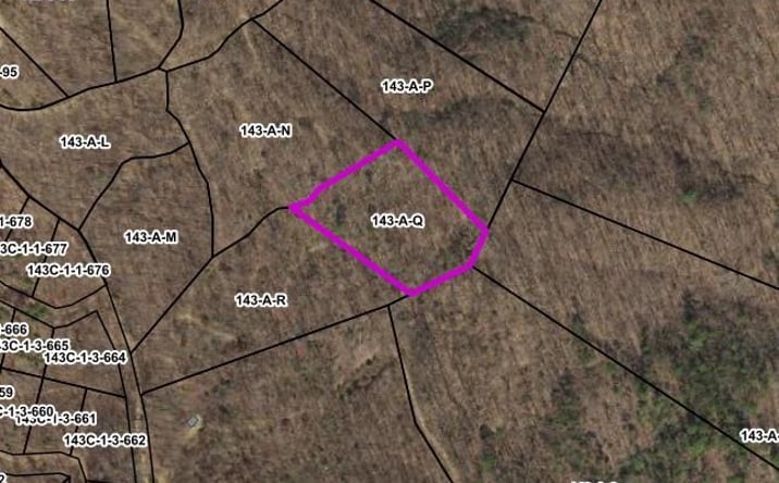 Pictures of Land, Multifamily property located at Lot 116 Spring Pond Trl, Fancy Gap, VA 24328 for sales - image #1