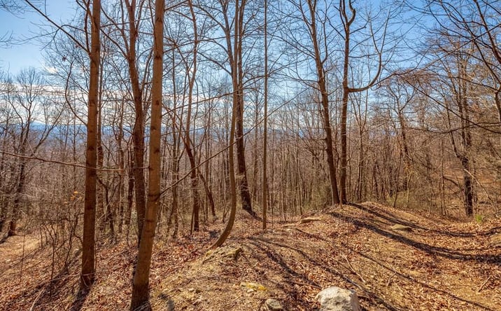 Pictures of Land, Multifamily property located at Lot 115 Spring Pond Trl, Fancy Gap, VA 24328 for sales - image #1