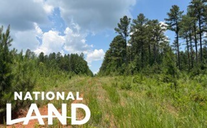 Pictures of Land property located at 4200 and 4150 Joe Bost Road, Concord, NC 28025 for sales - image #1