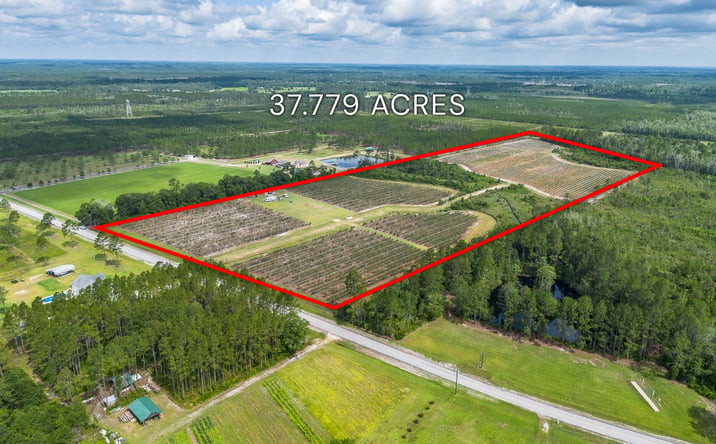 Pictures of Land property located at 7848 Trudie Road, Patterson, GA 31557 for sales - image #1