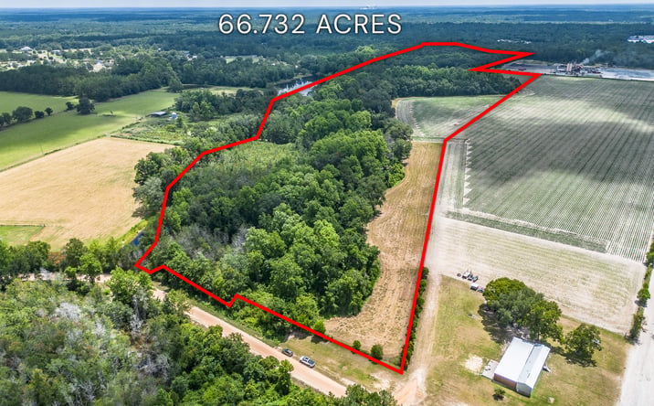 Pictures of Land property located at Nesbitt Road, Odum, GA 31555 for sales - image #1