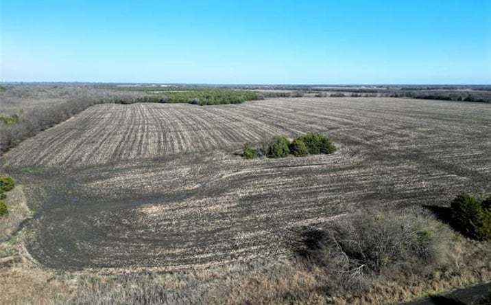 Pictures of Land property located at 99 ac County Road 4914, Commerce, TX 75428 for sales - image #1