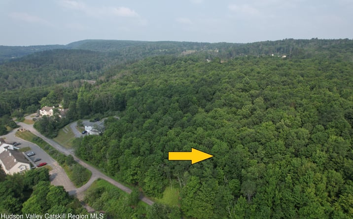 Pictures of Land, Multifamily, Special Purpose property located at * Timberwolf Road, Liberty, NY 12754 for sales - image #1