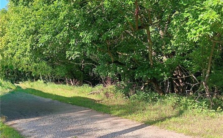 Pictures of Land, Special Purpose, Multifamily property located at 89 and 93 Kansas Drive, Linn Valley, KS 66040 for sales - image #1