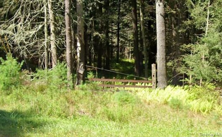 Pictures of Land, Special Purpose property located at 2199 State Route 42, Forestburgh, NY 12777 for sales - image #1