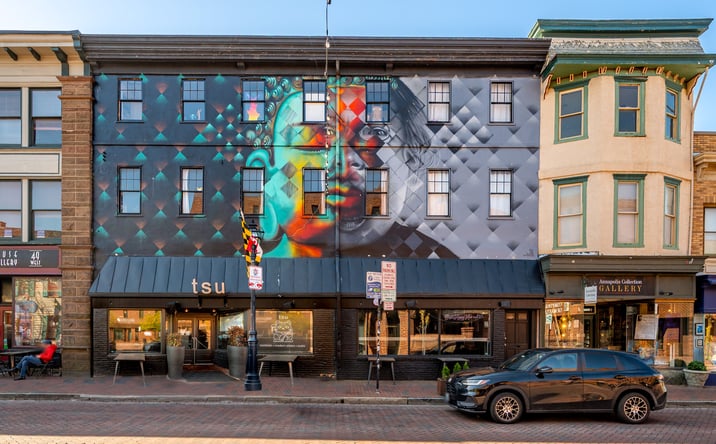 Pictures of Retail, Multifamily, Office, Hospitality, Mixed Use property located at 51 West Street, Annapolis, MD 21401 for sales - image #1